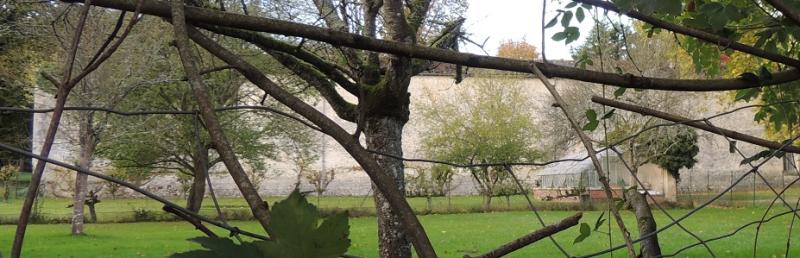 Château, Paley