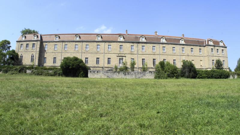 Château des Célestins, Limay