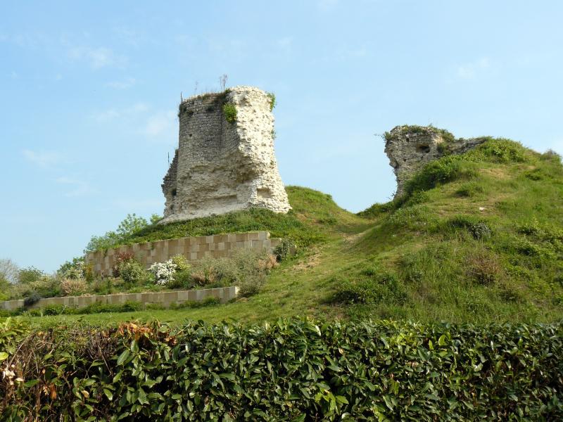 Donjon (vestiges) et sol des parcelles, Montchauvet
