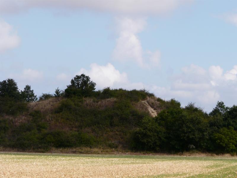 Tumulus, Assais-les-Jumeaux
