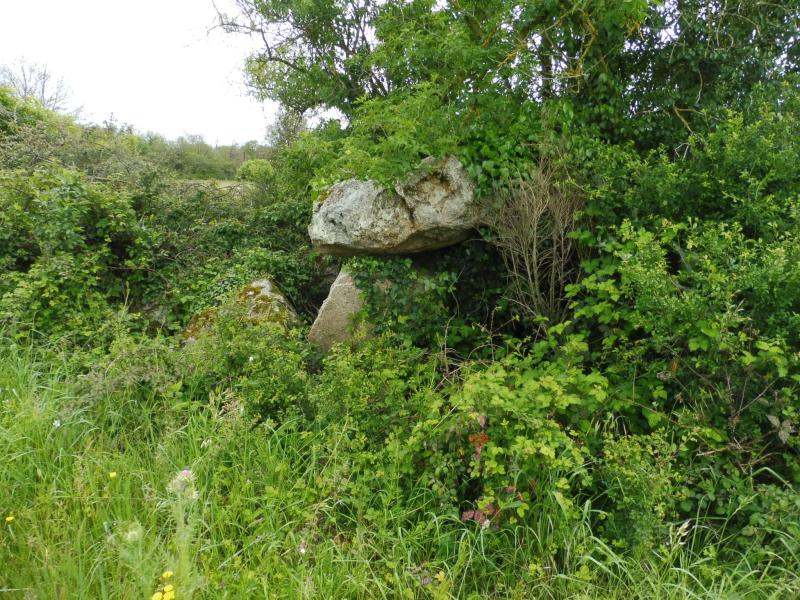 Dolmen, Faye-l'Abbesse