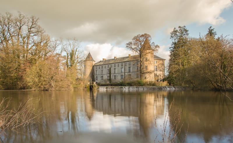 Château, La Forêt-sur-Sèvre