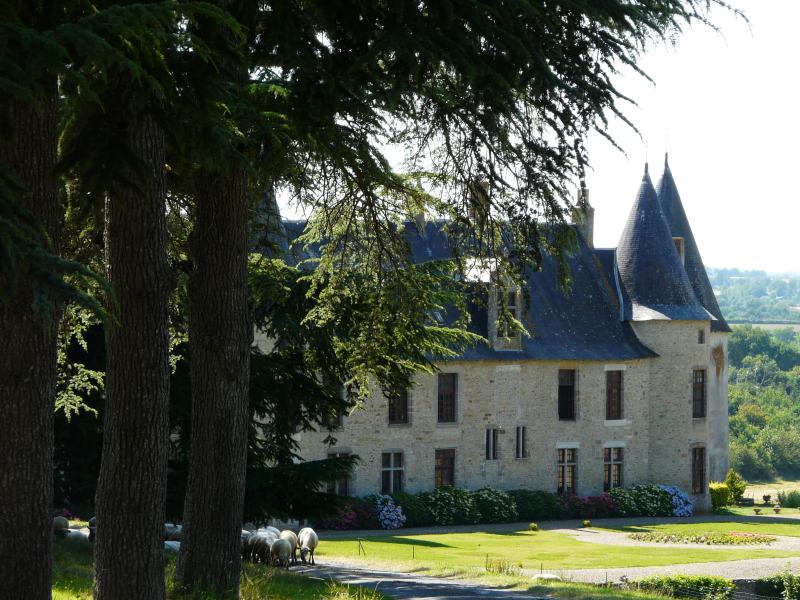 Château de la Roche-Faton, Lhoumois