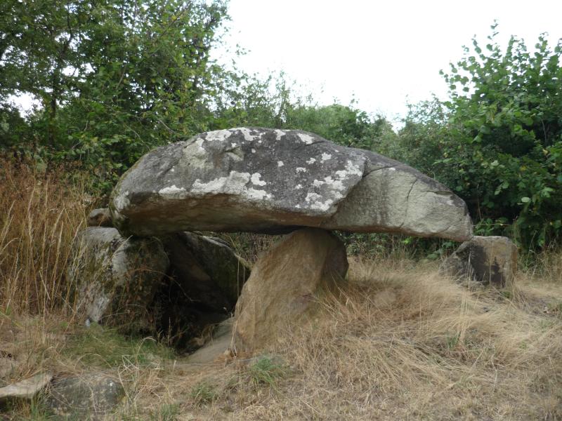 Dolmen, Le Pin