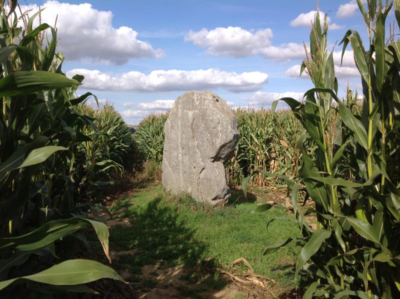 Menhir dit la Pierre d'Oblicamp, Bavelincourt