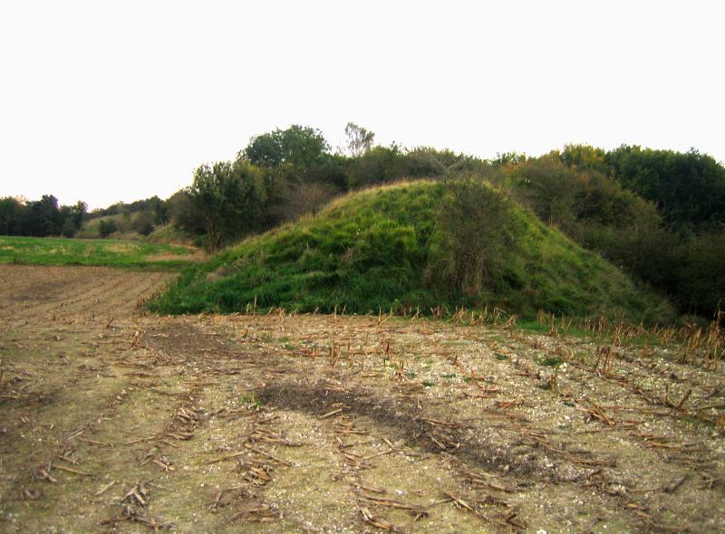 Camp romain (également sur commune de Erondelles), Liercourt