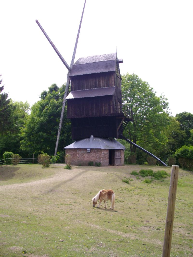 Moulin à vent dit Westmolen, Naours