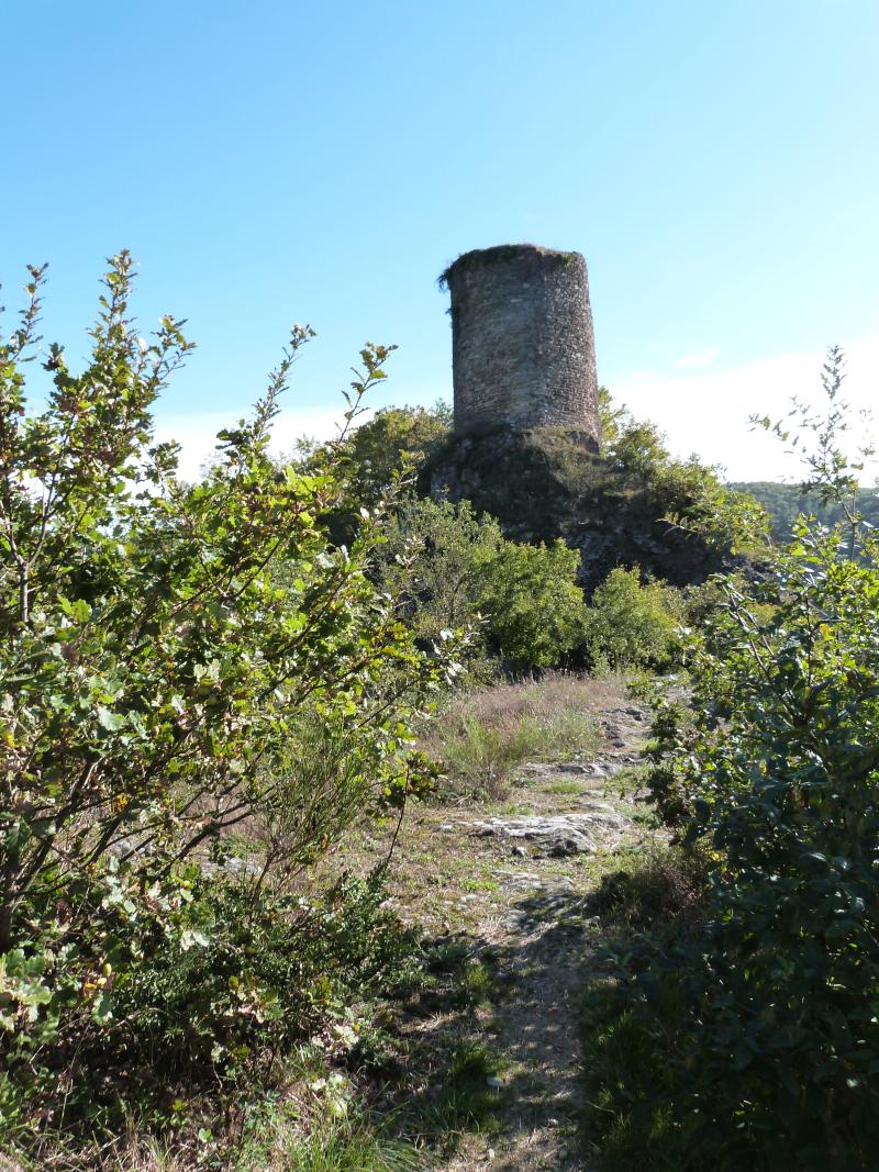 Restes du château de Thuriès, Pampelonne