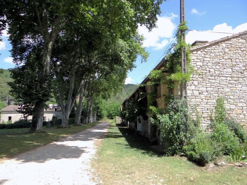 Forges de Caussanus, Bruniquel