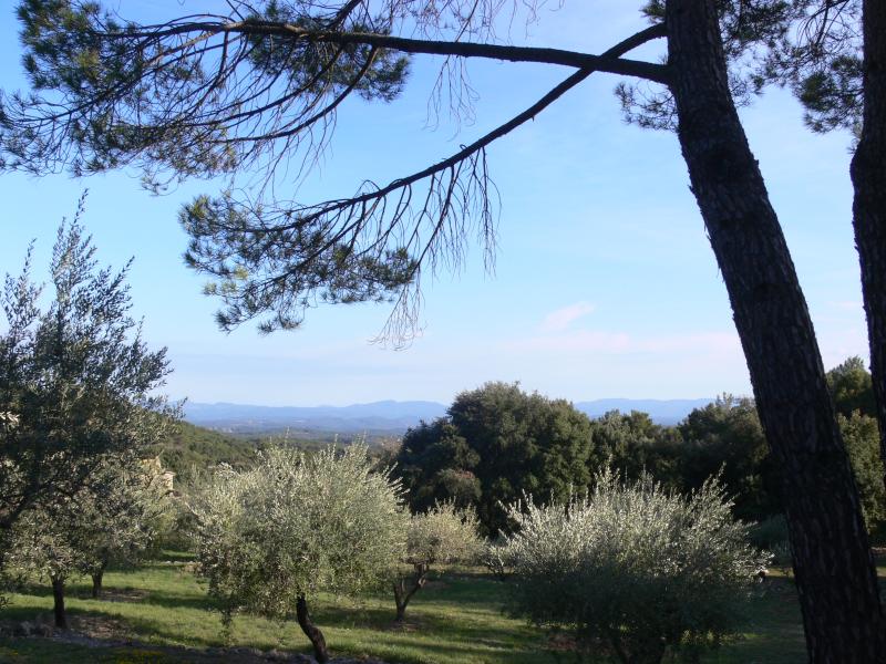 Domaine des Treilles (également sur commune de Flayosc), Tourtour