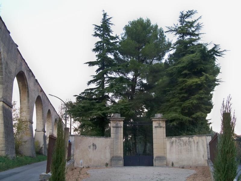 Cimetière israélite dit aussi cimetière juif, Carpentras
