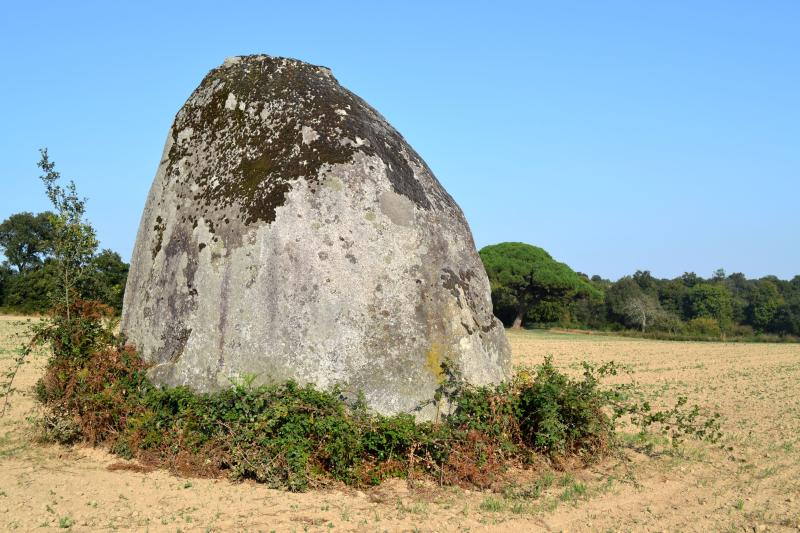 Menhir, Avrillé