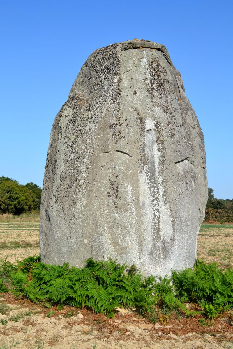 Menhirs, Avrillé
