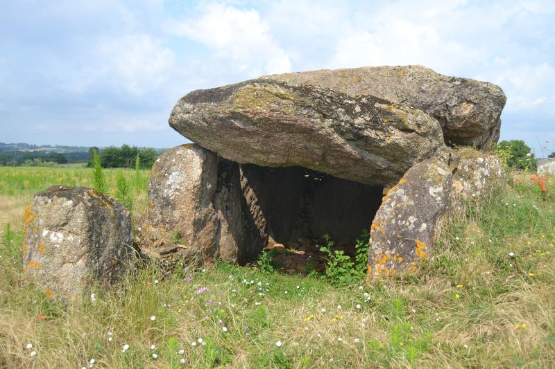 Dolmen dit des Landes ou Allée couverte de la Pierre Levée