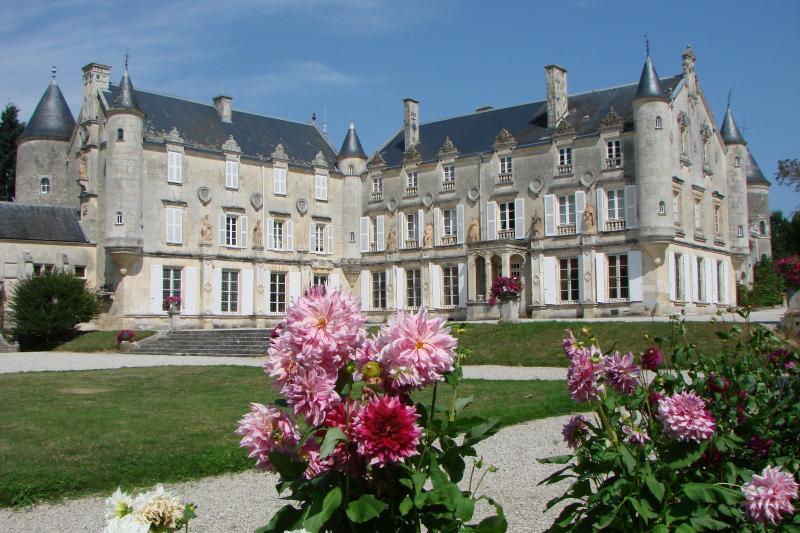 Château de Terre-Neuve, Fontenay-le-Comte