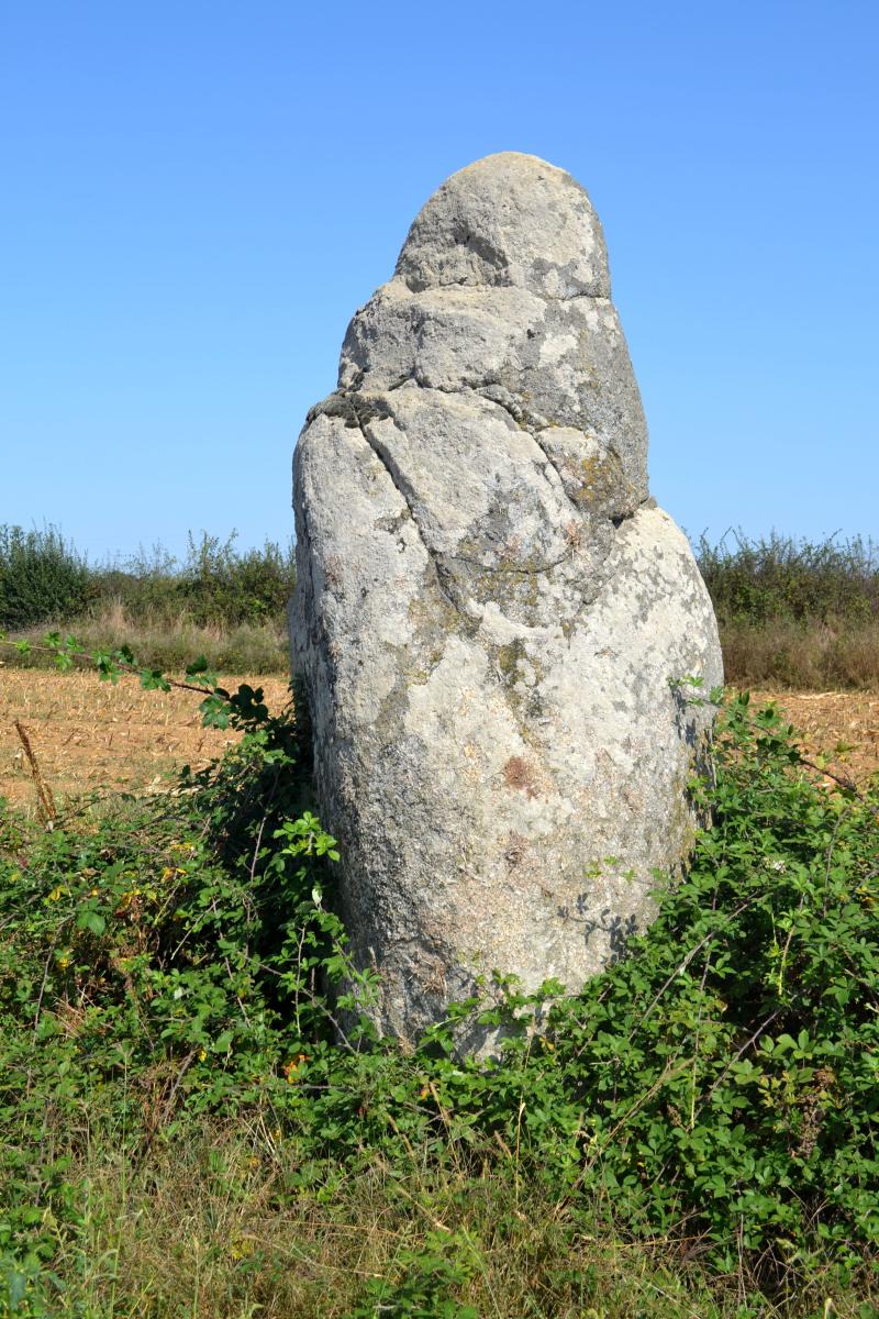 Menhir dit des Petites Jaunières