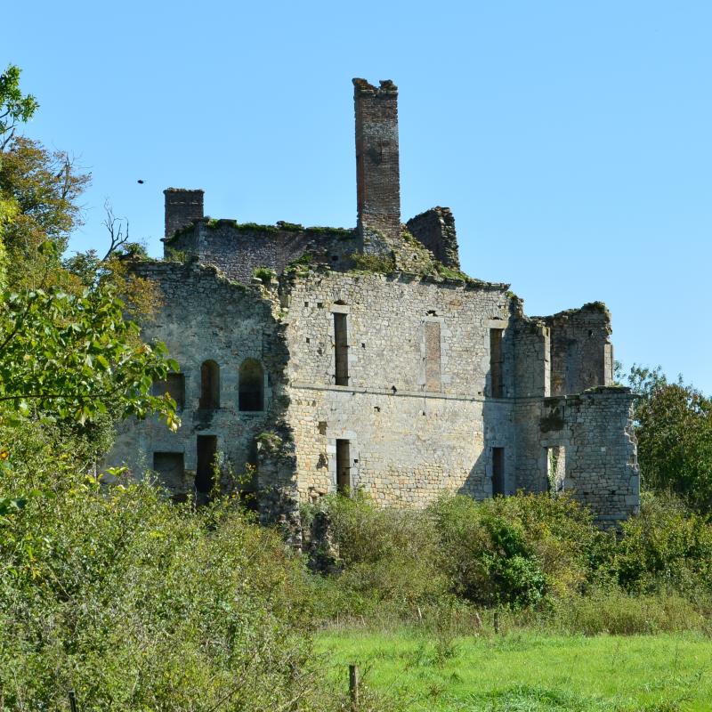 Château, Palluau