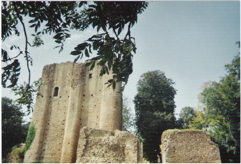 Château (ruines), Pouzauges