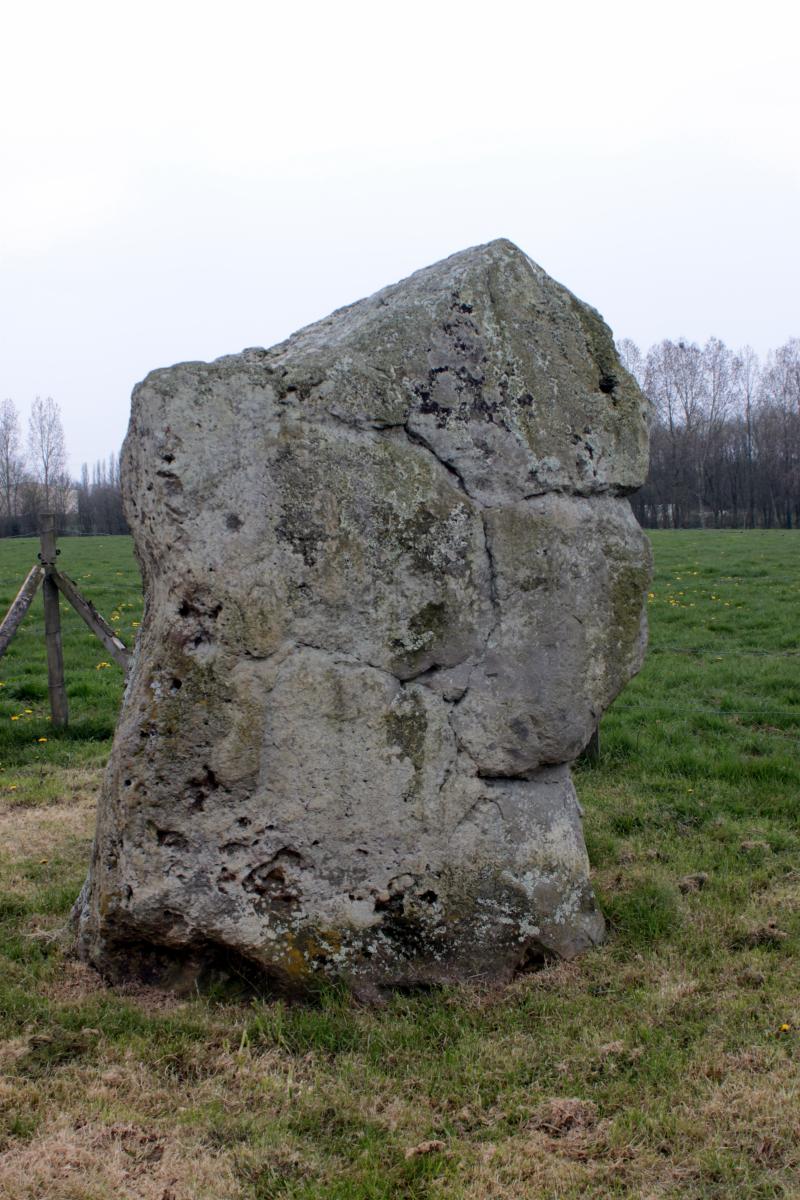 Menhir de la Petite-Roche, Montréverd