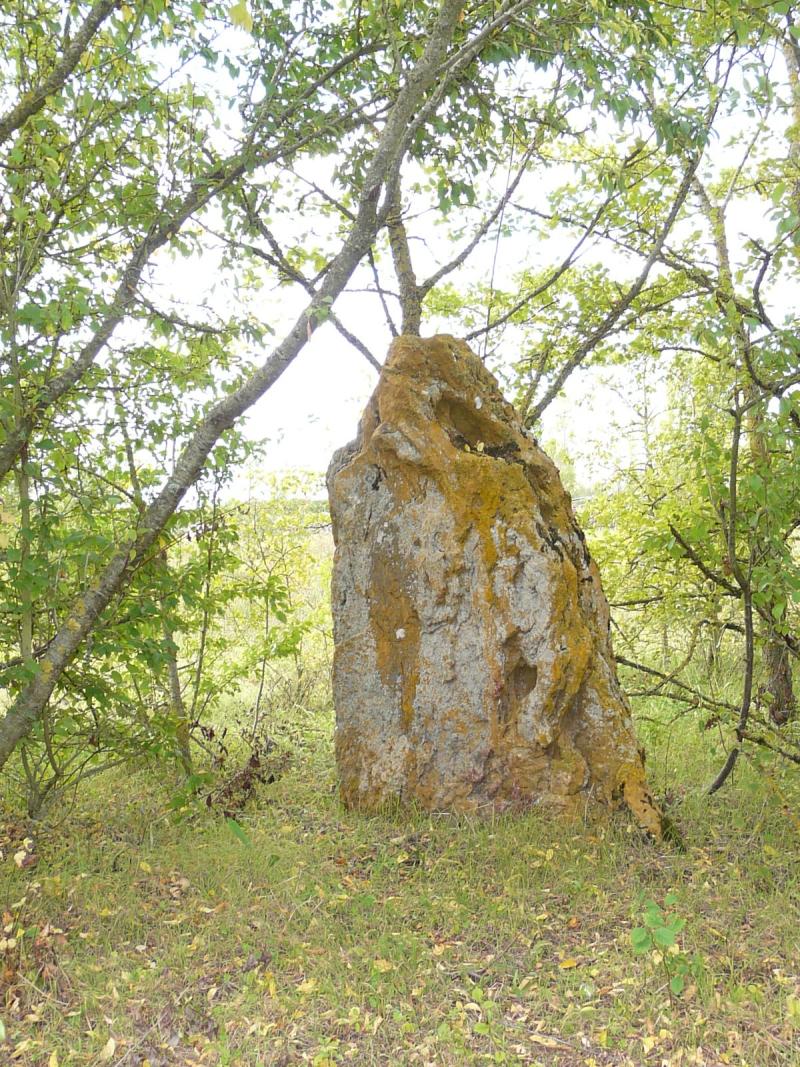 Cromlech, Aslonnes