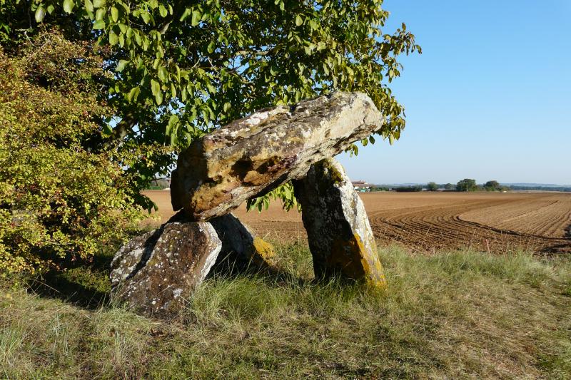 Dolmen de Fontenaille, Champigny en Rochereau