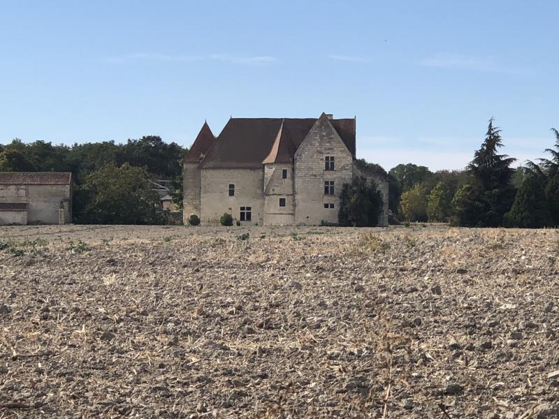 Château de Rochefort, Mirebeau