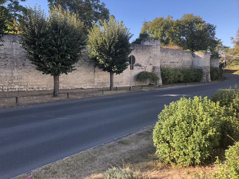 Remparts de la citadelle (anciens), Mirebeau