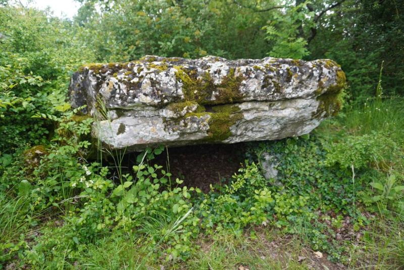 Dolmen de Pouzac 1, Roches-Prémarie-Andillé