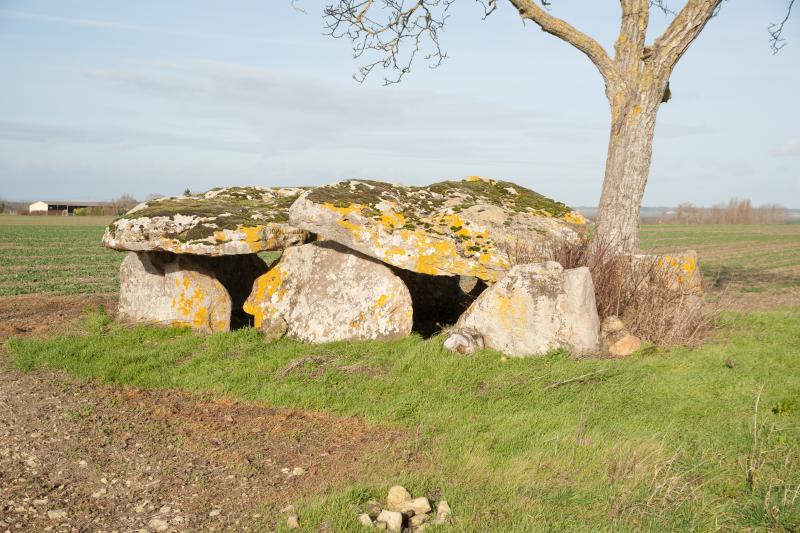 Dolmen de Vaon