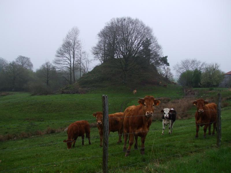 Mottes féodales, Châlus
