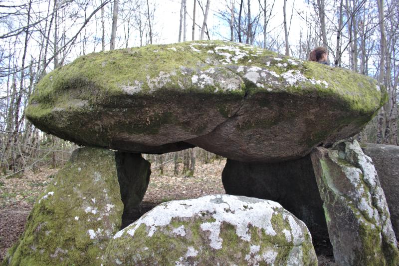 Dolmen dit La Pierre-Levée au bois de Bouéry, Mailhac-sur-Benaize