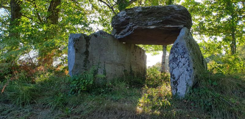Dolmen la Tamanie, Oradour-sur-Vayres