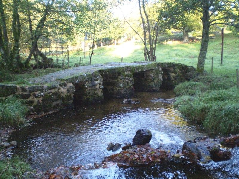 Planche sur la Couze dite Pont romain, Saint-Léger-la-Montagne