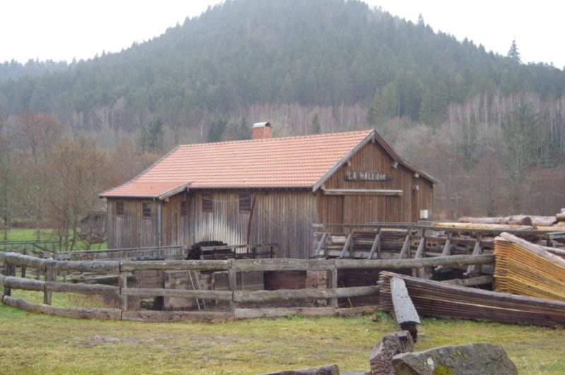 Scierie de la Hallière, Celles-sur-Plaine