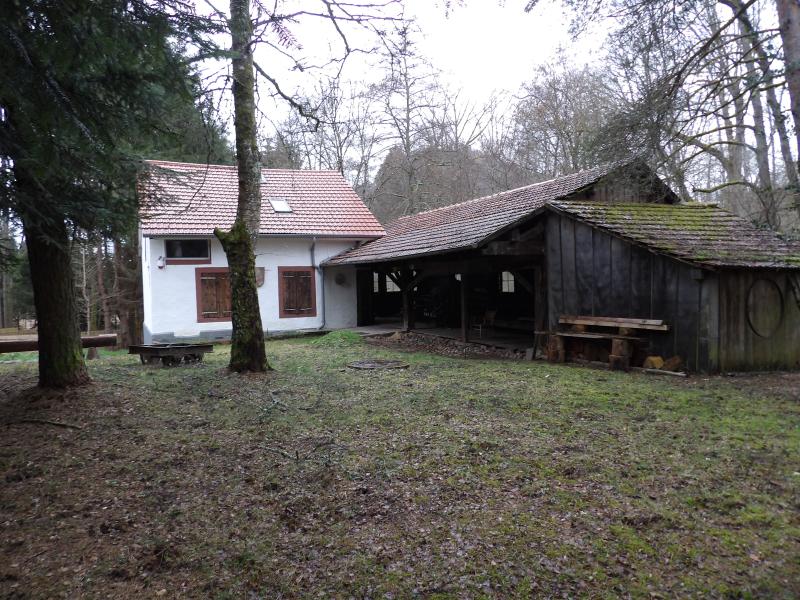 Scierie Lajus, Celles-sur-Plaine