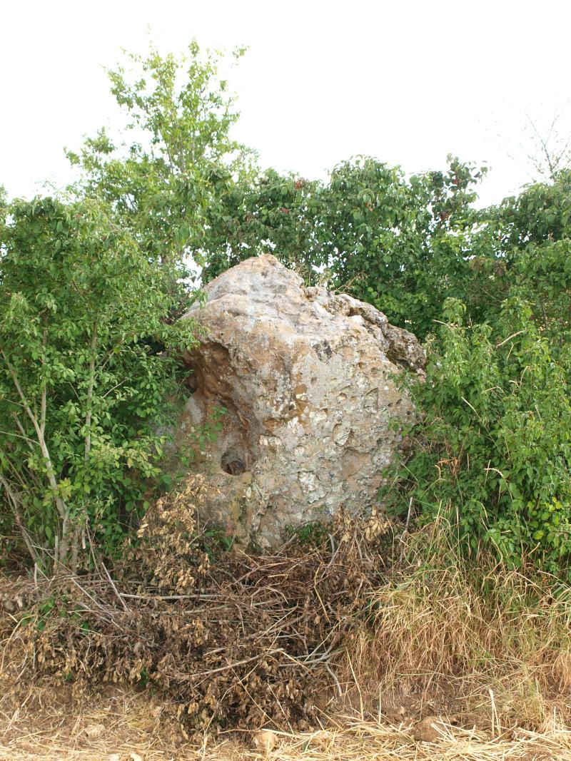 Menhir dit La Pierre-Fitte, Montholon