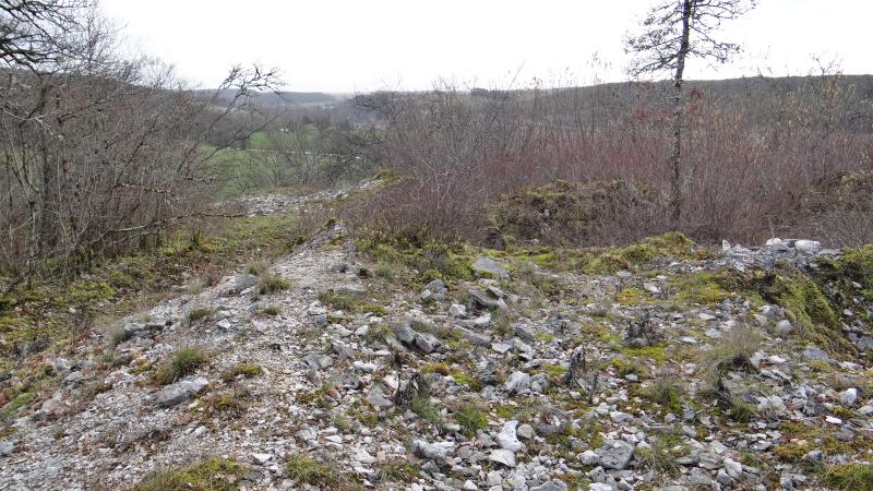 Tumulus du tertre à Tormancy