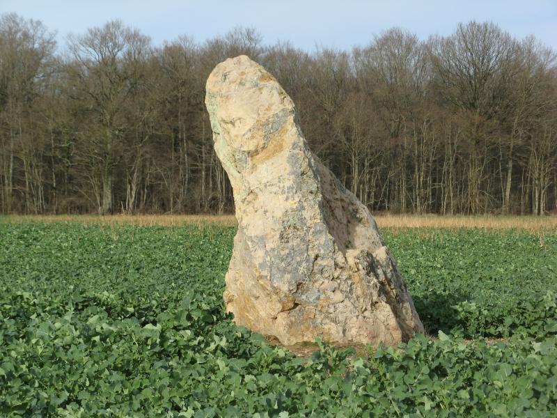 Menhir, Montacher-Villegardin