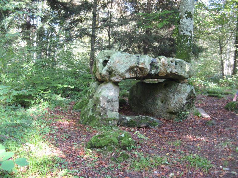 Dolmen dans la forêt domaniale de Vauluisant, Saint-Maurice-aux-Riches-Hommes