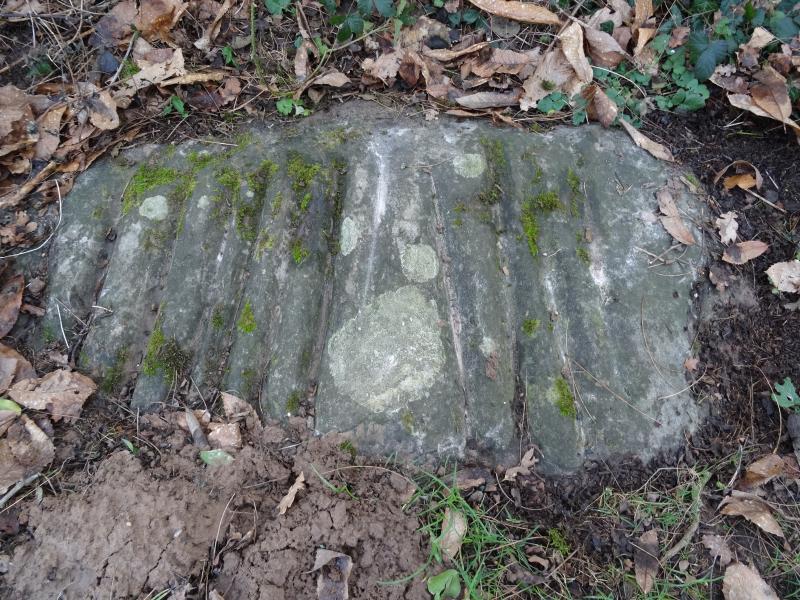 Polissoir dit Roche Grénolée, Moigny-sur-École