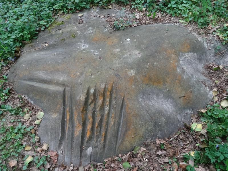Polissoir du Bois de la Charmille, Villeconin