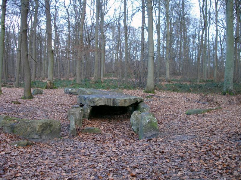 Dolmen dit Pierre Turquaise, Saint-Martin-du-Tertre