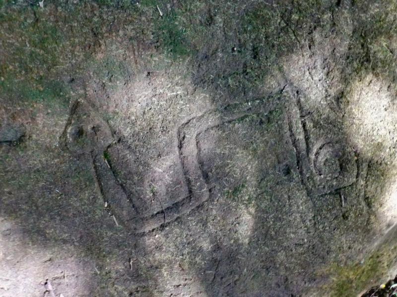 Le Serpent de Pascaud, Remire-Montjoly