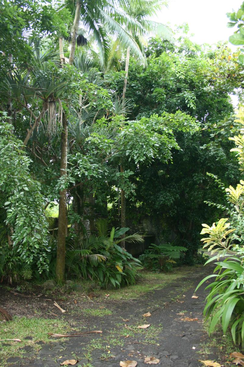 Domaine de la Confiance ou domaine Carrère, Saint-Benoît