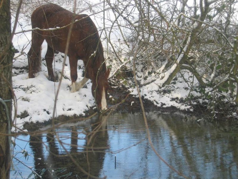 Photo 2 — Marlemont, Ardennes (08290)