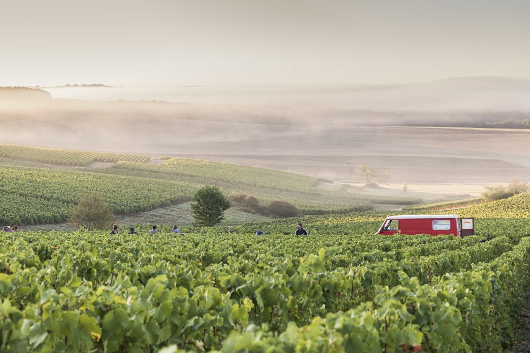 Champignol-Lez-Mondeville, Aube