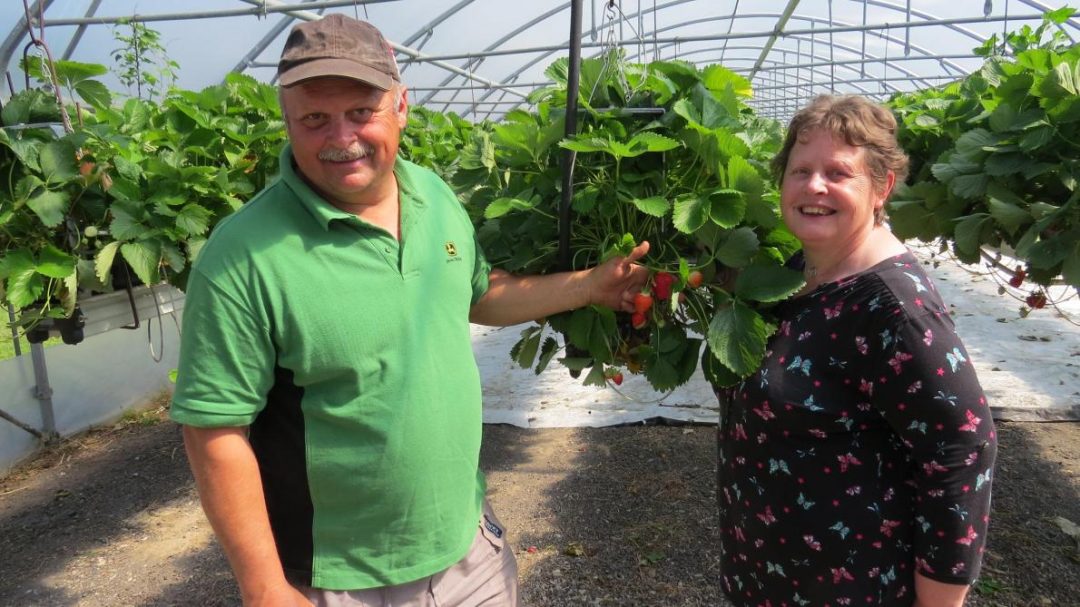 Photo 2 — La Fosse-Corduan, Aube (10100)