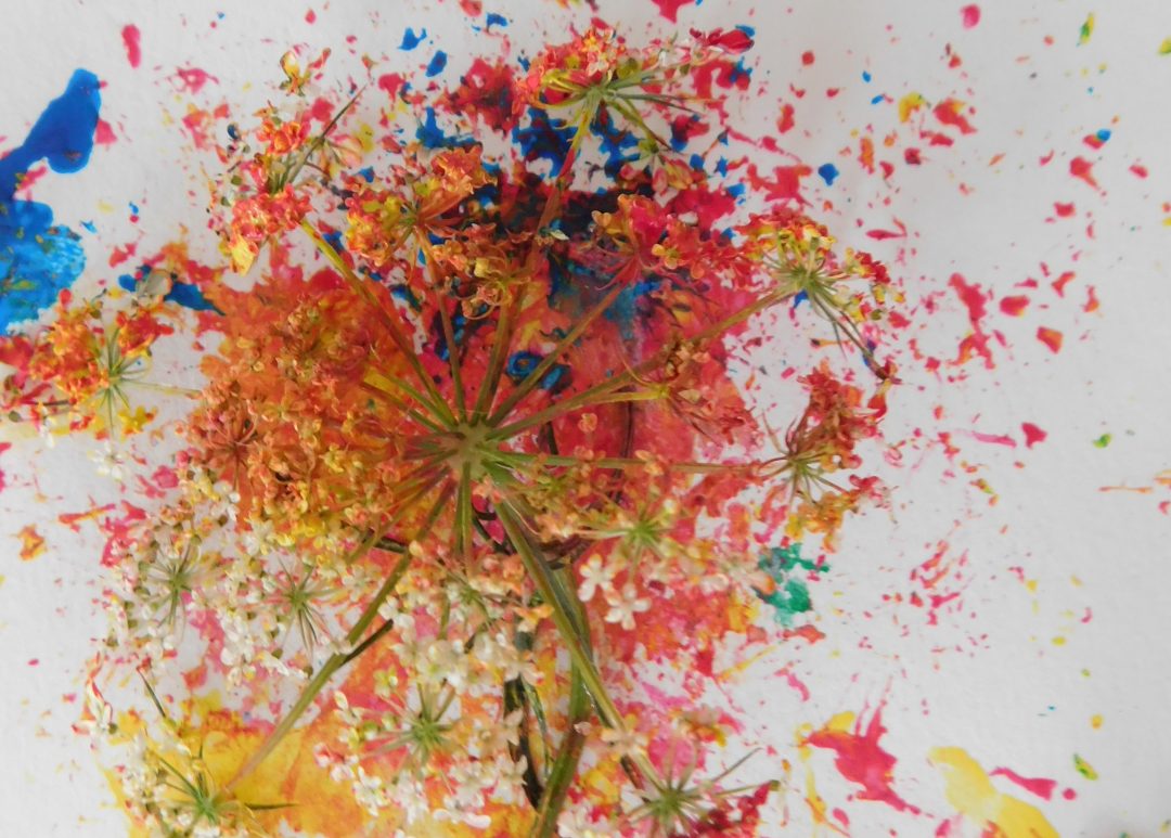 Photo 2 — Maraye-en-Othe, Aube (10160)