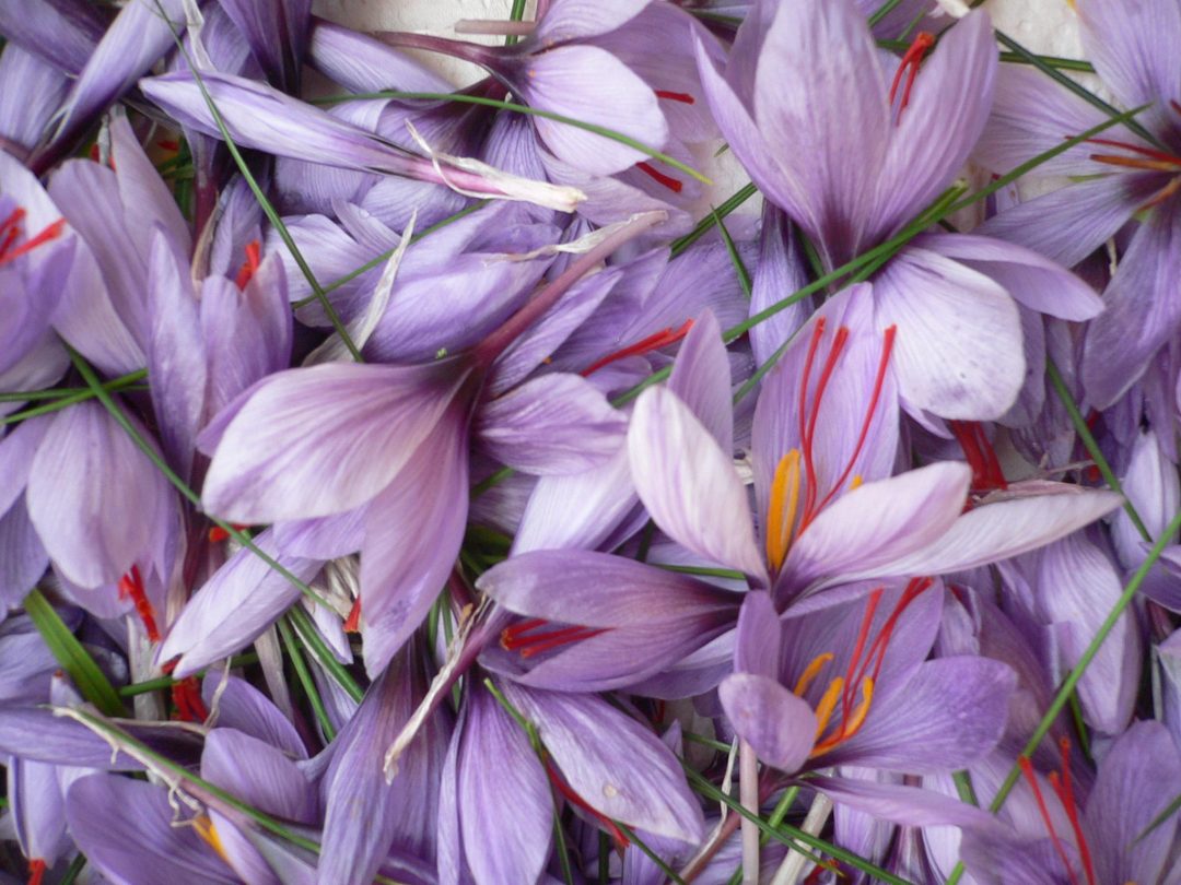 Photo 2 — Saint-Aubin, Aube (10400)