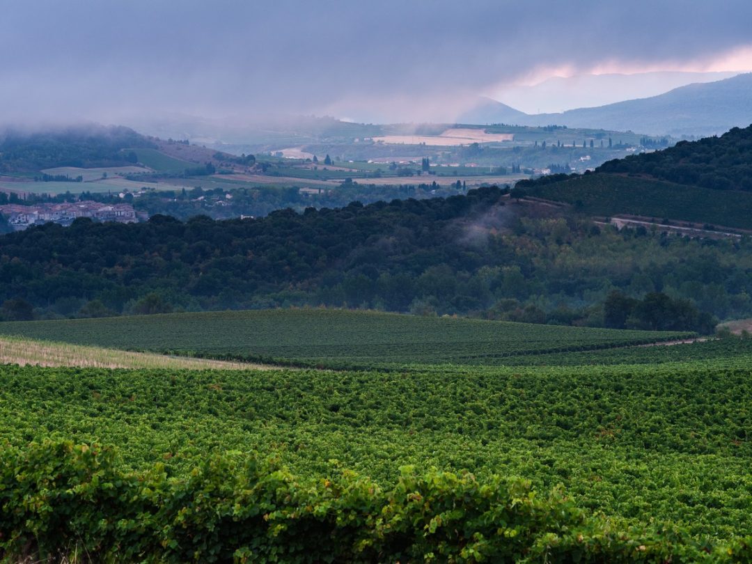 Saint-Martin-De-Villereglan, Aude